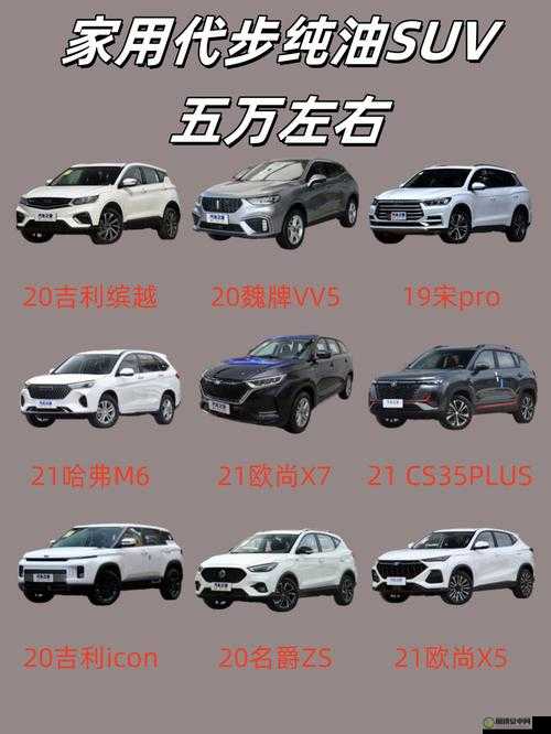 wey vv5 国产 SUV 视频评测：深度解析其性能与亮点